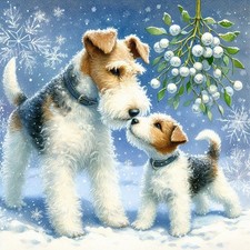 Single Luxury Wire Fox Terrier
