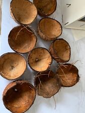 10X Natural Coconut Shell