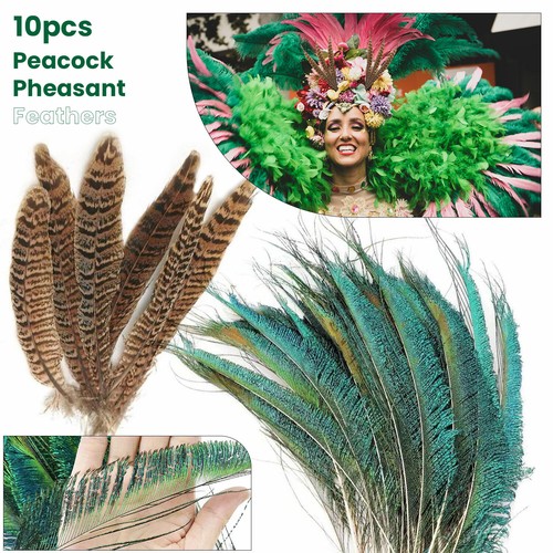 Natural pheasant tail peacock - natural,