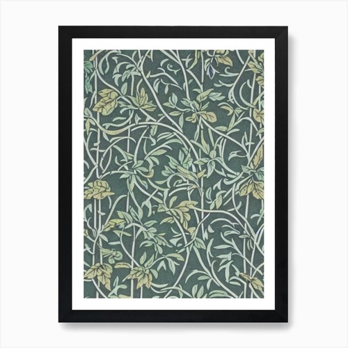 Ebony tree vintage botanical - tree,