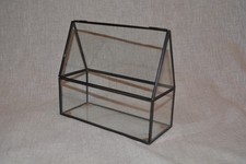 Glass Terrarium Plant /