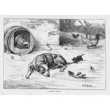 ST DADD A Happy Family DOGS -