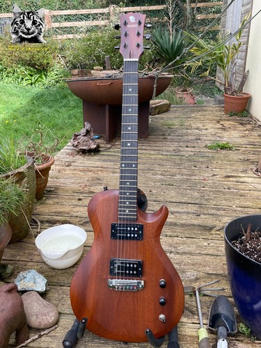 Reloved guitars prs style - reloved,