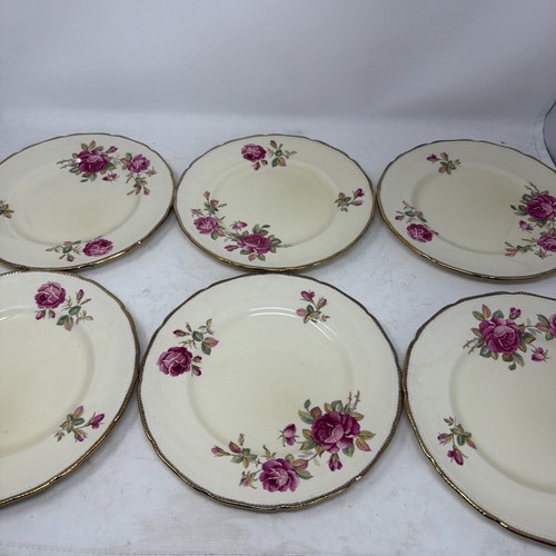 Royal swan staffordshire - swan,