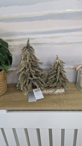 Gisela graham fir double - gisela,