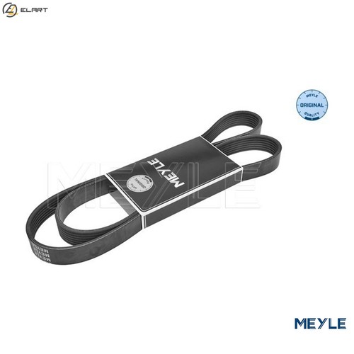 Vribbed belt 050 007 1593 - belt, for