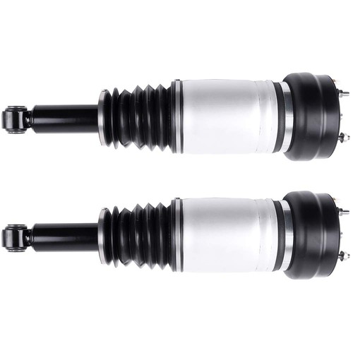 Air struts 2pcs rear rwd - struts,