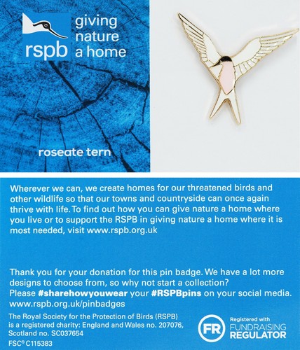 Rspb pin badge - gnah, roseate