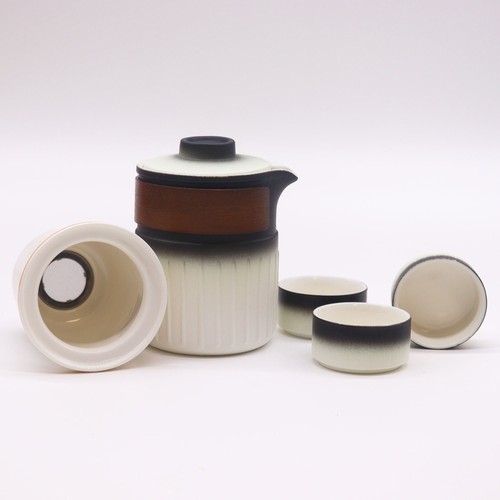 Travel ceramic teapot set - travel,
