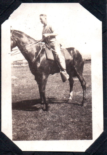 Old photograph horse - old, farm