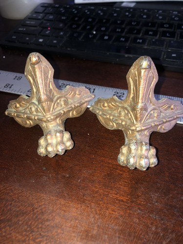 Ansonia sitting statue claw - statue,