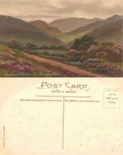 Vintage Postcard - Dartmoor
