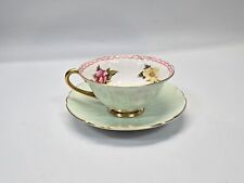 Shelley Green Begonia  Flower