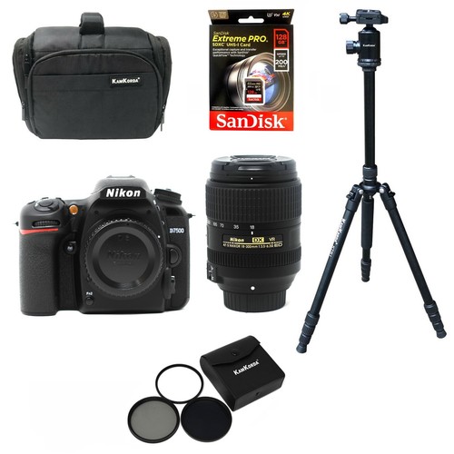 Beginner wildlife photography - beginner,