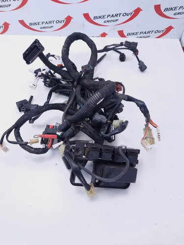Main harness husqvarna - main,