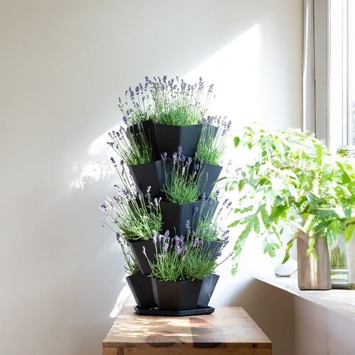 Stackable tier black garden - tier,