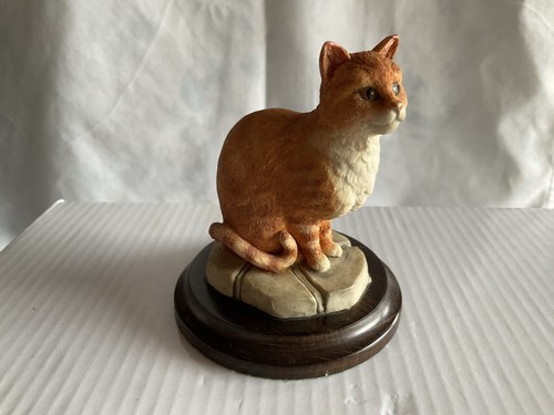 Country artist ginger - country, cat
