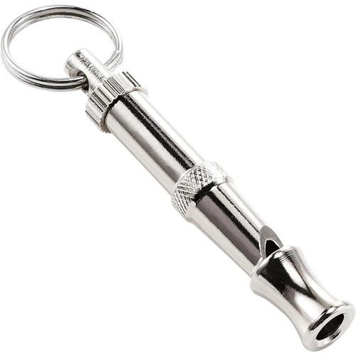 Adjustable dog training - dog,