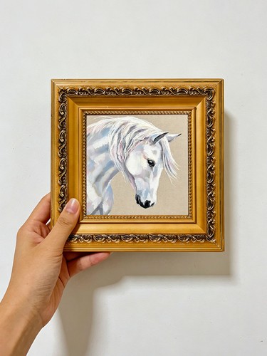 Elegant white horse - elegant,