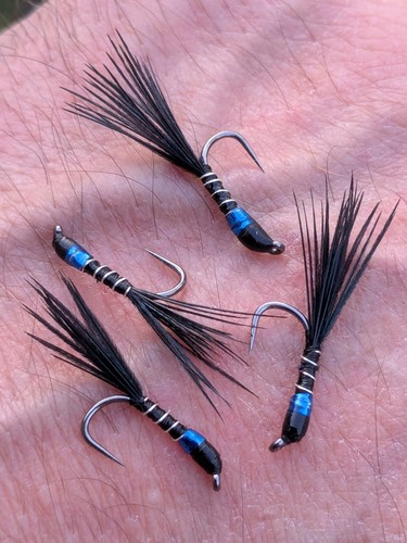 Fly fishing blue flash - x,