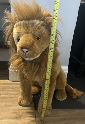 Male lion soft - lion,