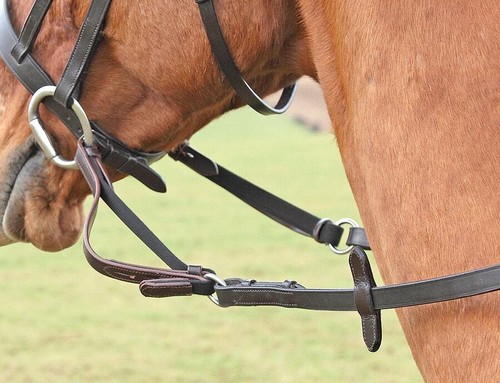 Shires flexi rein - flexi,
