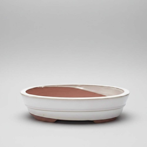 26cm glazed bonsai pot - glazed, oval