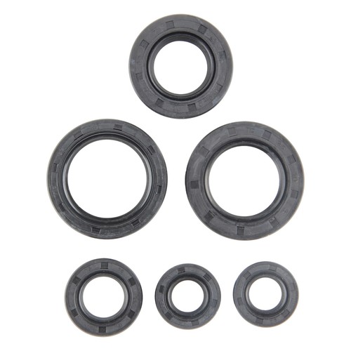 Motor shaft seal set - shaft,