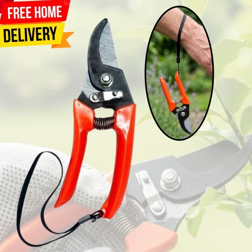 Garden shears secateur - shears, pruning