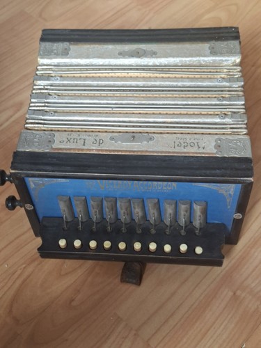 Vintage viceroy accordion - vintage,
