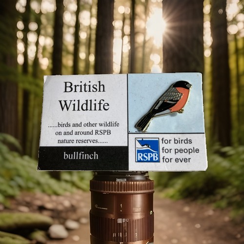 Rspb pin badge bullfinch - rspb-pin,