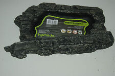 Vivarium Large Reptile Habitat