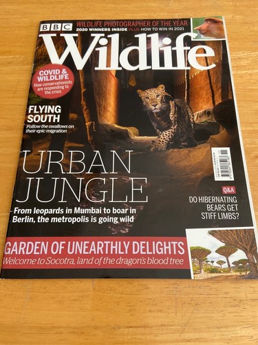Bbc wildlife magazine november - bbc,
