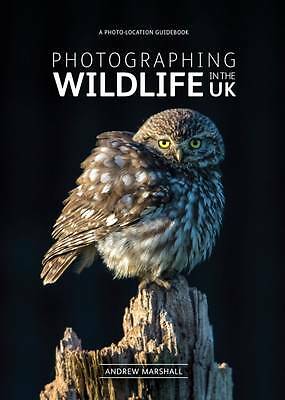 Photographing wildlife the - photographing,