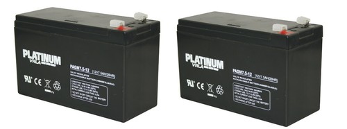Two platinum 12v - two,
