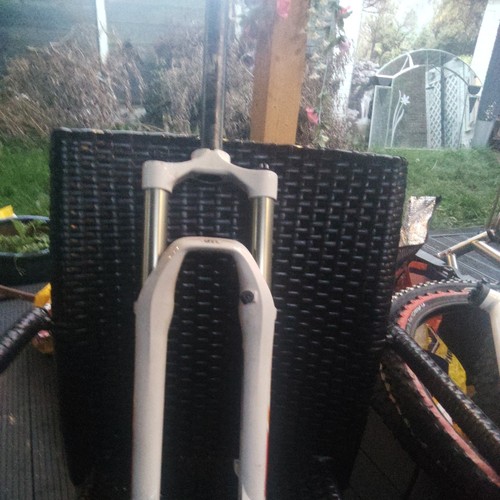 Rst first platinum - rst, 26"