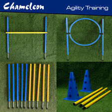 Dog  Agility Training Equipment JUMP Backyard Starter Course Outdoor Set Pet
