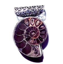 Natural Ammonite Gemstone 925