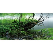 AWERT 48x20 inches Branches