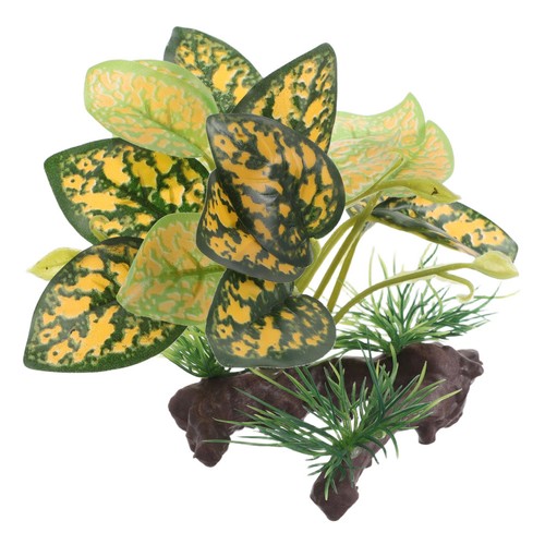 Tropical fish tank - tank, accessories