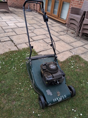 Hayter harrier self - harrier,