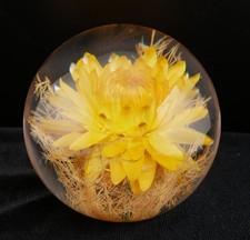 Beautiful Hafod Grange