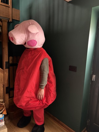 Peppa pig adult costume - peppa,
