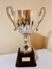 Silver sports trophy - 🏆,