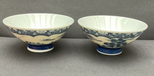 Two Chinese blue and white