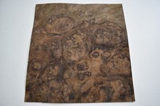 Walnut Burr / Burl - REAL WOOD
