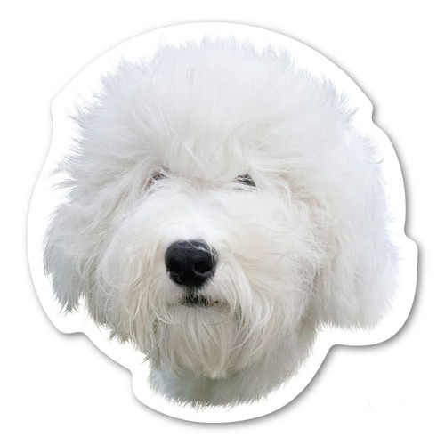 Old english sheepdog magnet - old,