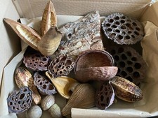 Natural Terrarium Vivarium Collection. Pods, caves, mosses, grass, branch, Leaf