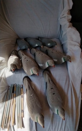 Decoy half shell plastic - half,