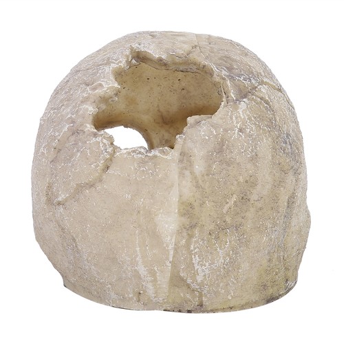 Resin skull fish tank - skull, aquarium